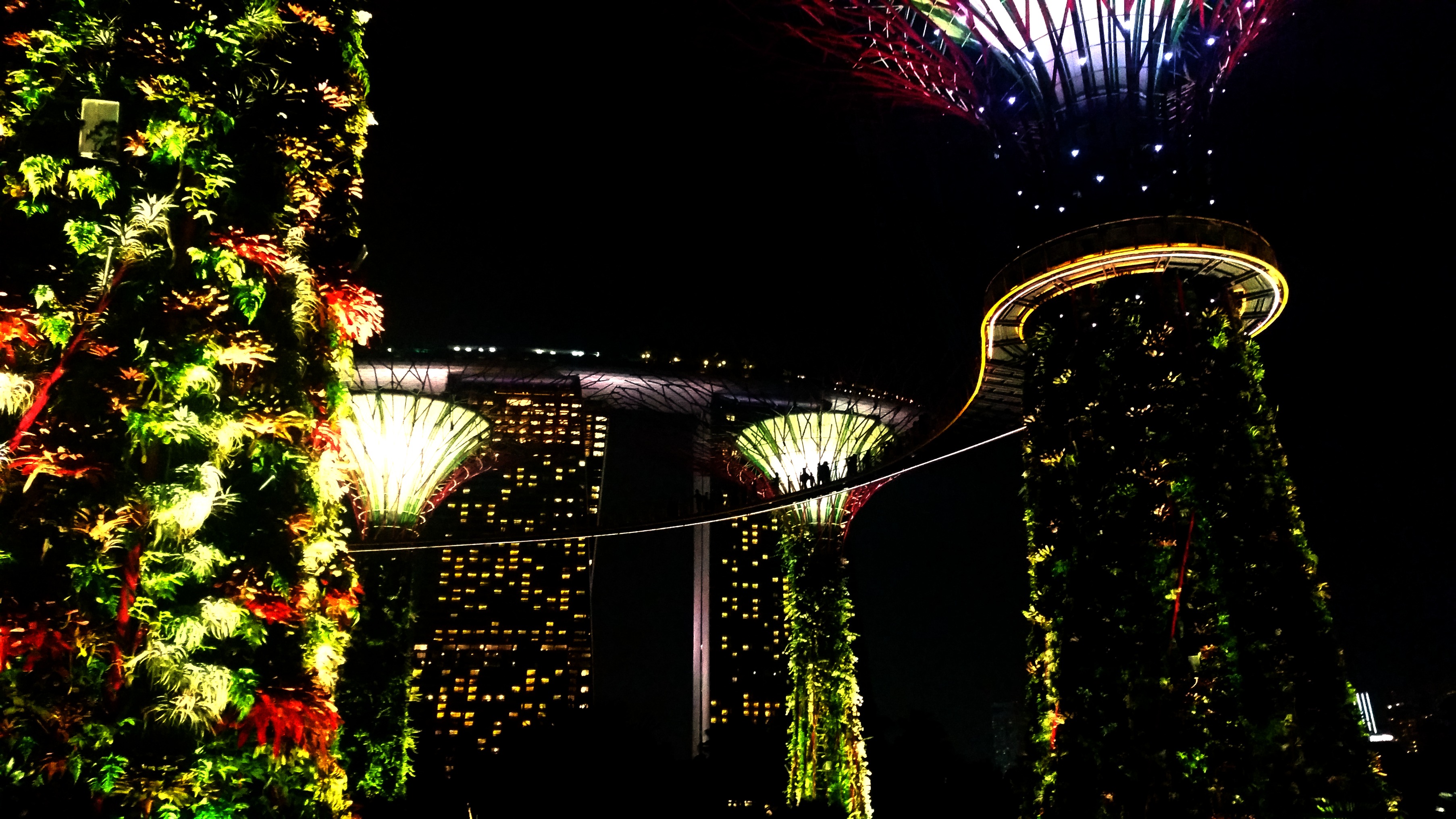 Supertree Singapore