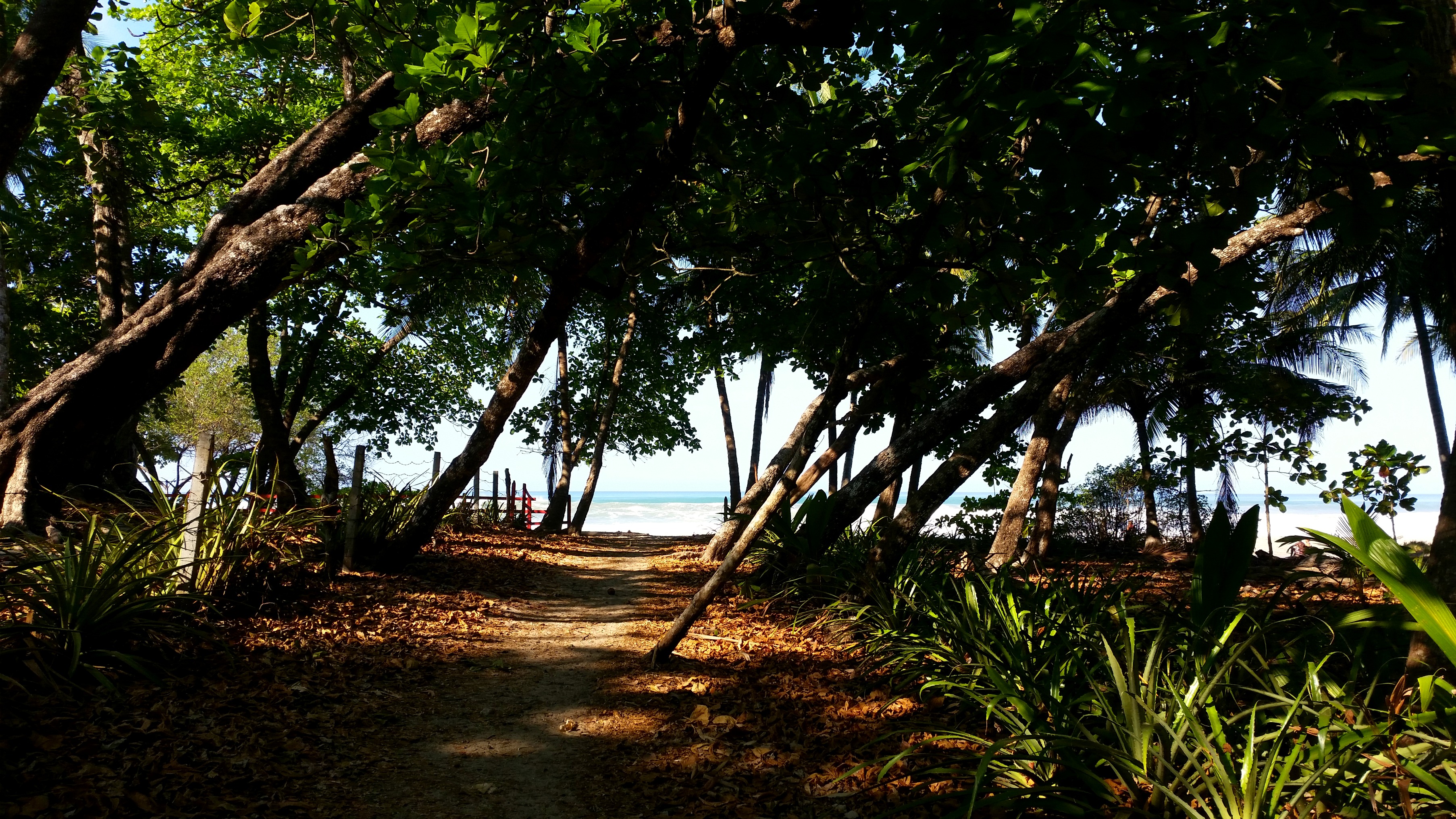 Santa Teresa Beach