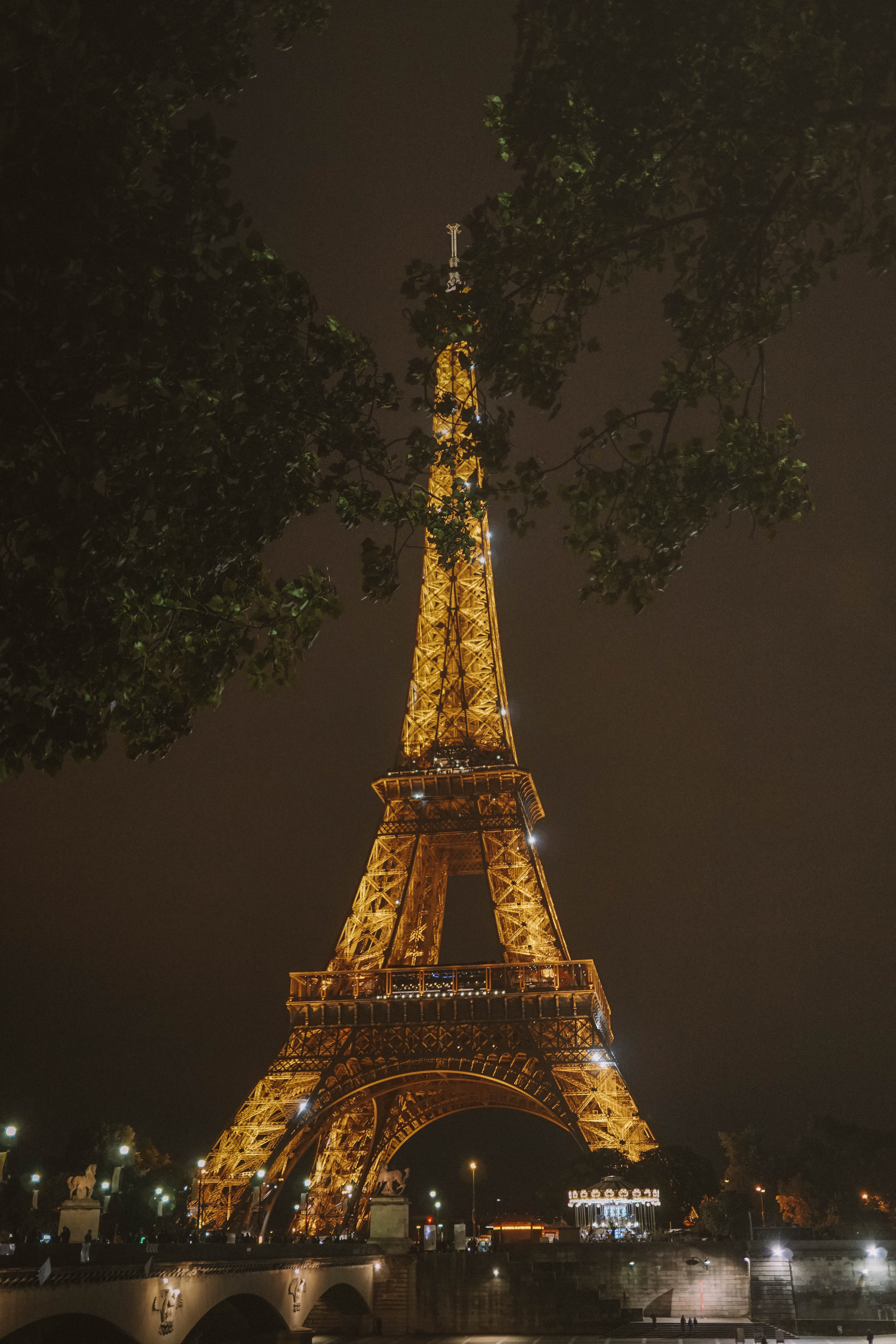 Intrepid Introvert Paris