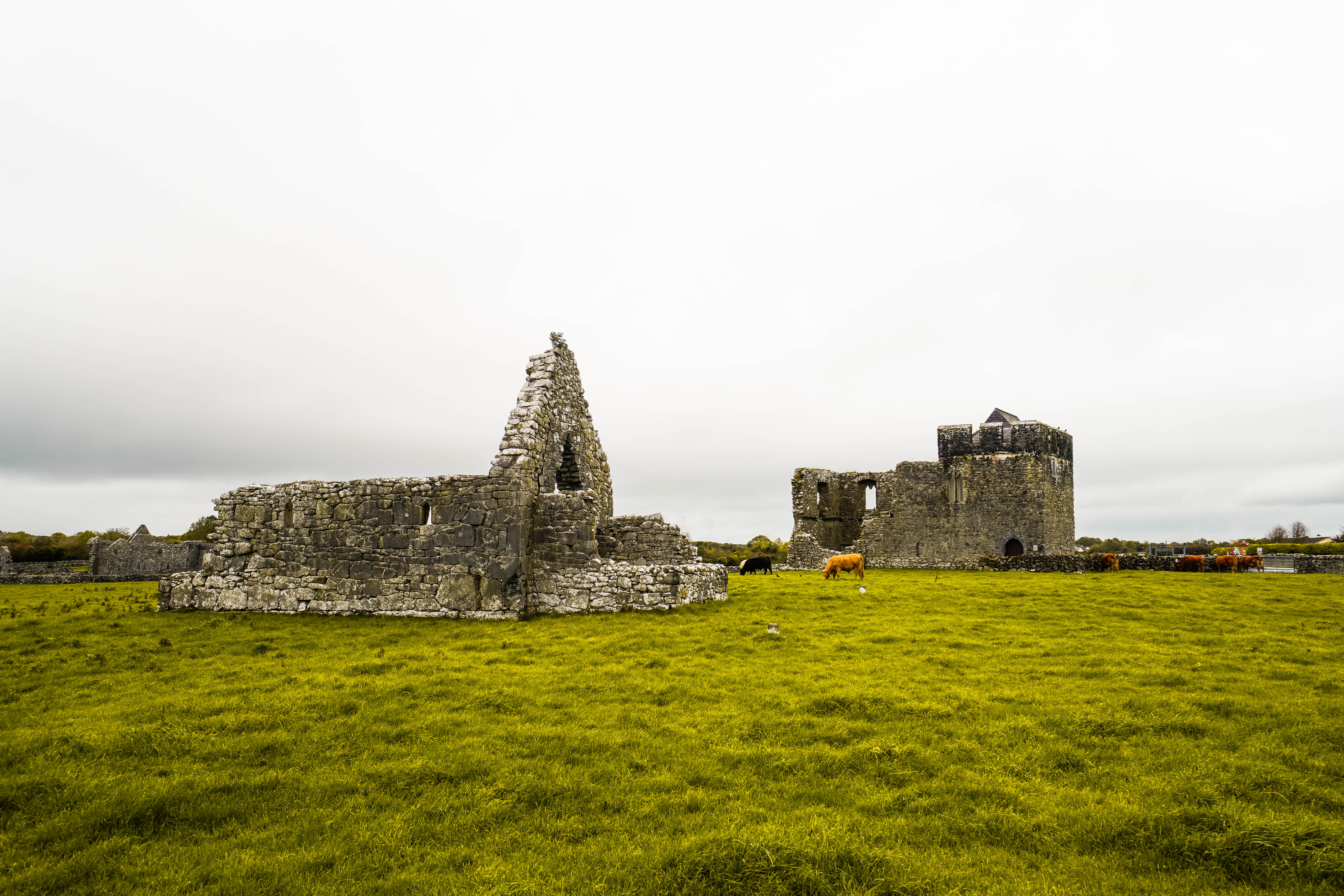 Where to go in Ireland? | Intrepid Introvert