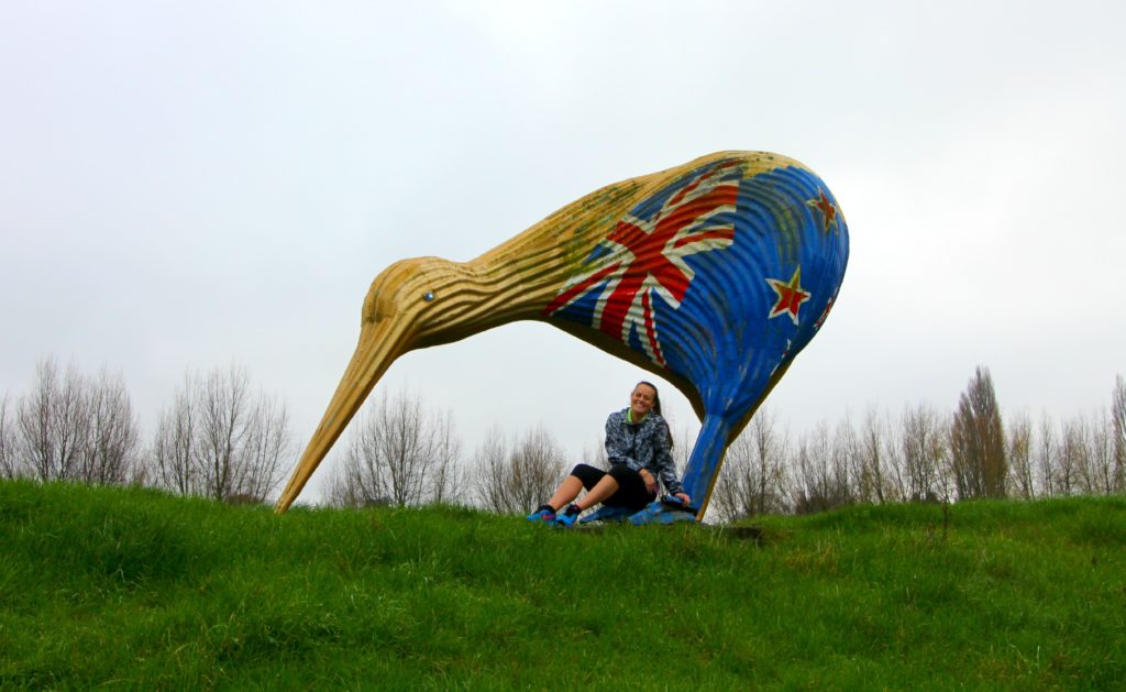 New Zealand Kiwi Intrepid Introvert