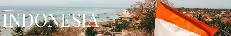 INTREPID INTROVERT INDONESIA