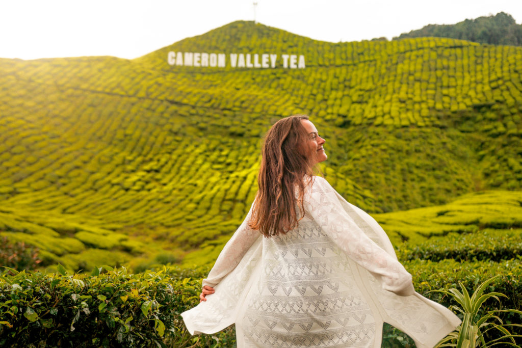 Cameron Valley Tea Cameron Highlands Tea Fields