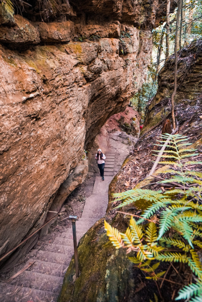 Grand canyon hiking trail blue mountains NSW Australia