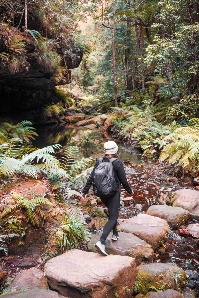 Grand canyon hiking trail blue mountains NSW Australia