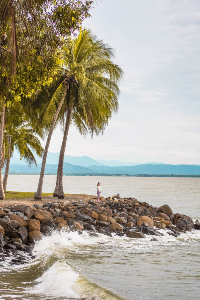 Port Douglas Rex Smeal park