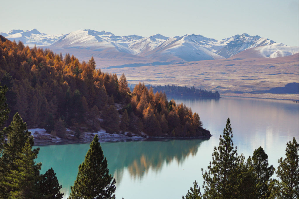 Lake Tekapo New Zealand