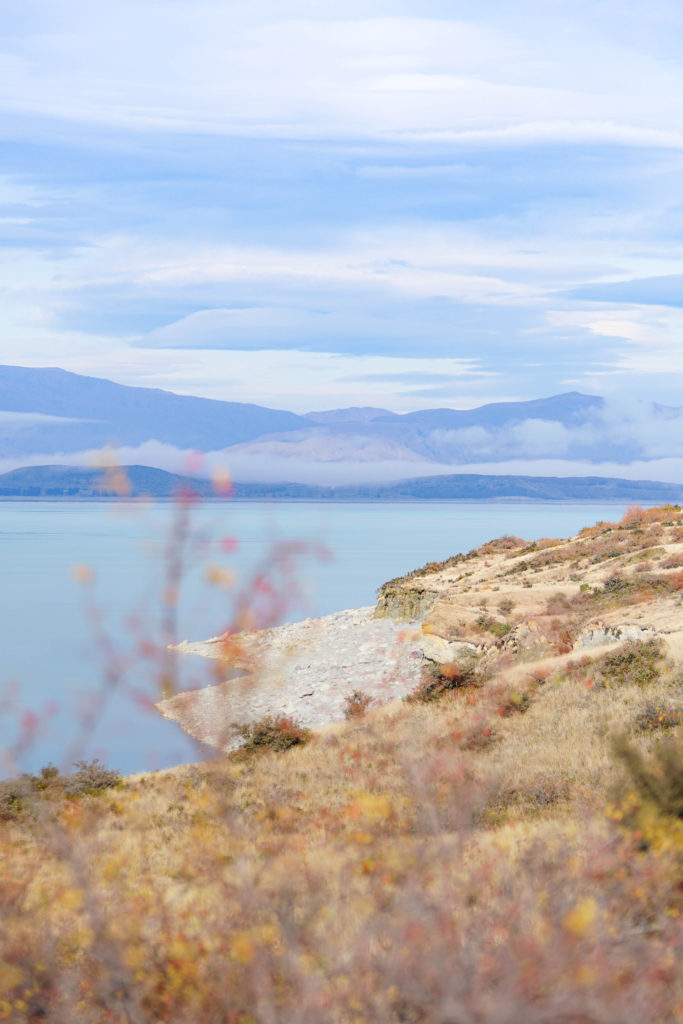 Lake Pukaki Best Lakes of New Zealand