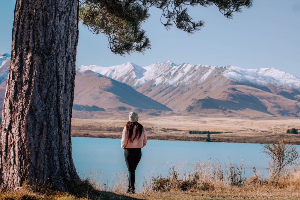 Lake Tekapo Scenery of New Zealand